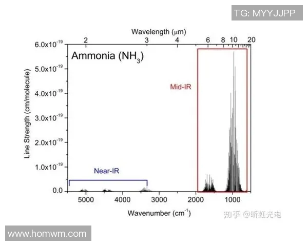 赛后分析：西安排球队与南京排球队的表现与状态对比探讨